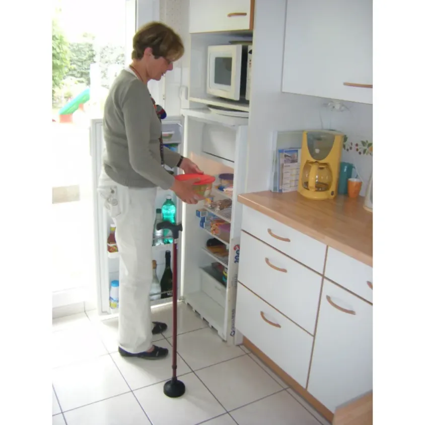 Embout Stabilisateur Canne Stabicane | Auto-stable & Articulé