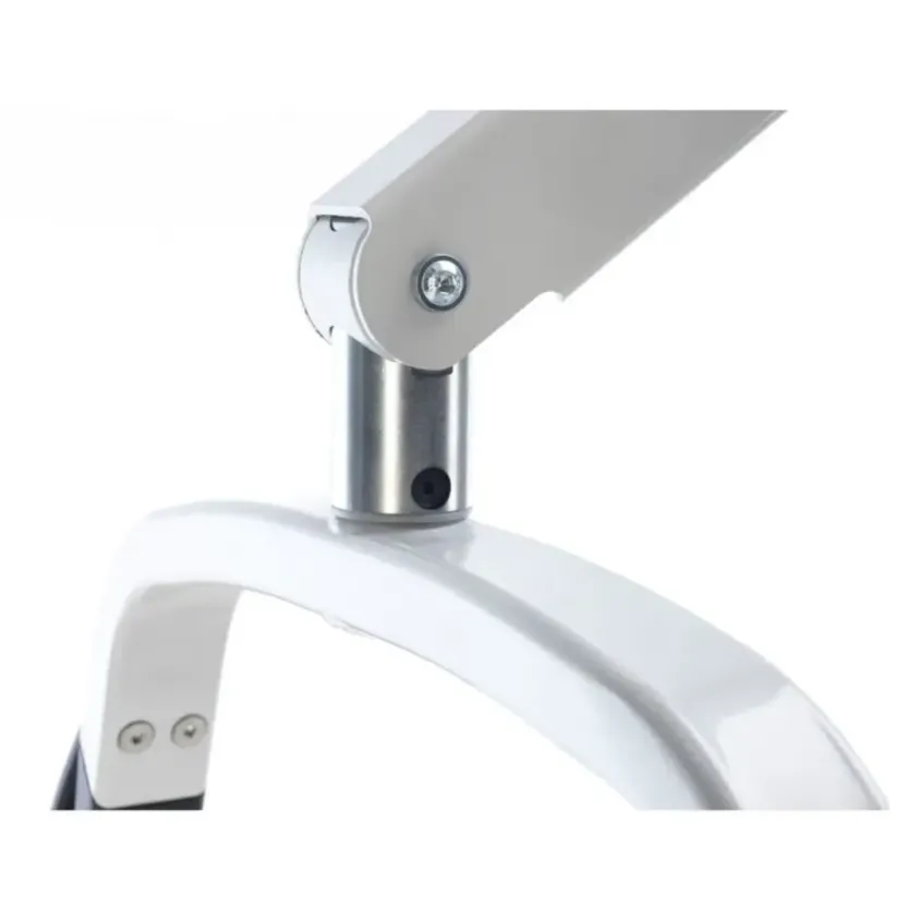 Location Lève-personne Compact Alsace | Birdie Evo Compact | Inresa