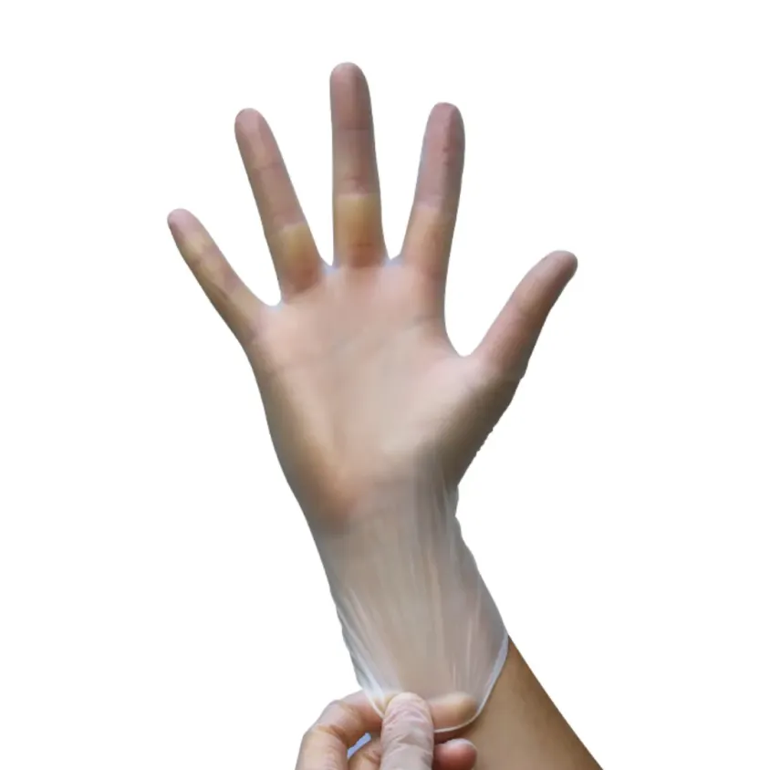 Gants Vinyle Euronyl Euromedis Non Poudrés x100